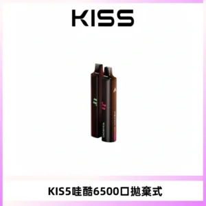 KIS5WAGOO哇酷6500口拋棄式 | 自由混搭雙口味 | 雙芯組合