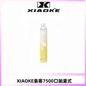 XIAOKE梟客7500Puffs跑馬燈拋棄式電子煙 可發光一次性
